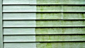 siding washed, pressure cleaning, soft washing, roof shampoo, home exterior cleaning, westchester power washing FREE ESTIMATES 914-490-8138